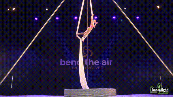 Section 1 7 to 9 Years Silks SOLO