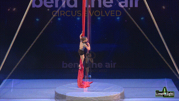 Section 1 7 to 9 Years Silks SOLO
