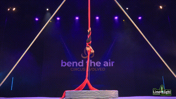Section 1 7 to 9 Years Silks SOLO