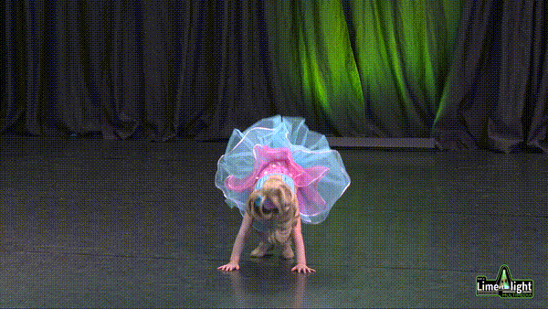 dancers_connect_25 Section 13 6 Years and Under Song and Dance SOLO