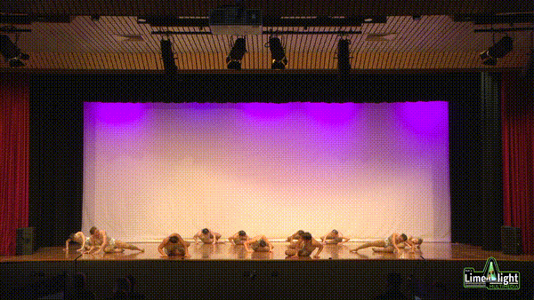 lddf_25 Section 205 15 Years & Under Contemporary GROUP