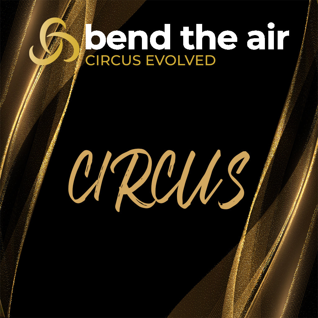 Section 8 16 Years & Over Circus SOLO