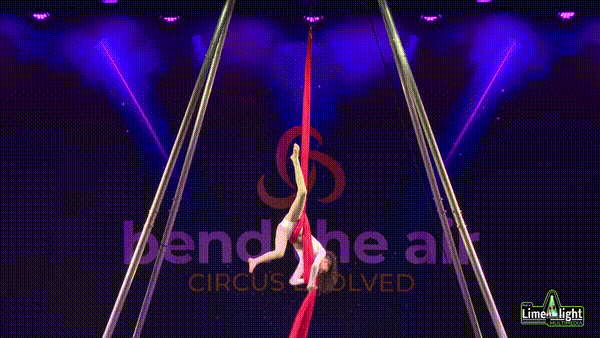 bta-syd-26 Section 2 12 YEARS & UNDER Silks SOLO