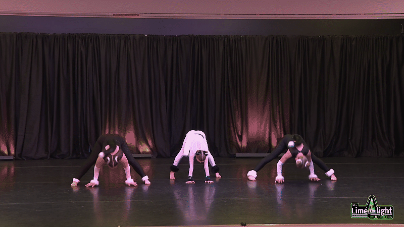 dc26 Section 400 Non Competitive Any Dance DUO/TRIO
