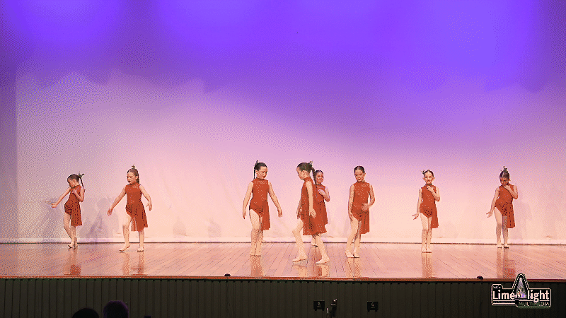 lddf 26 Section 177 6 Years & Under Any Dance GROUP