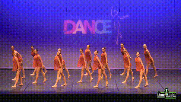 scde_groups_26 Section 19 Open Contemporary GROUP