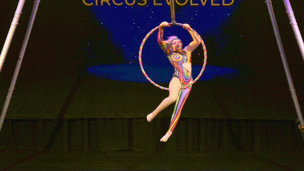 Section 2 7 Years & Under Novice SOLO