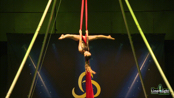 bta_newcastle_2025 Section 2 12 Years & Under Silks SOLO