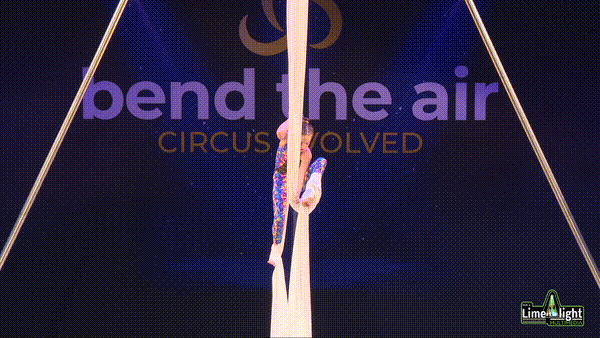 Section 1 7 to 9 Years Silks SOLO