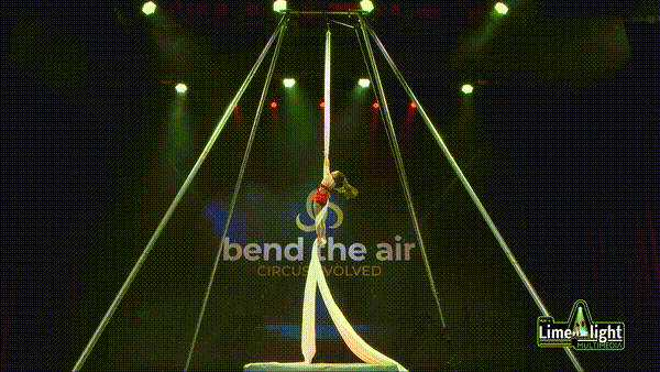 bta-sc-26 Section 3 12 YEARS & UNDER Silks SOLO