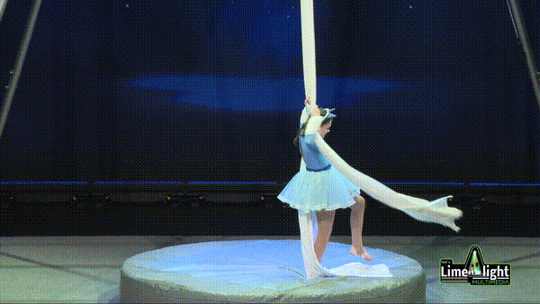 bta-sc-26 Section 3 12 YEARS & UNDER Silks SOLO