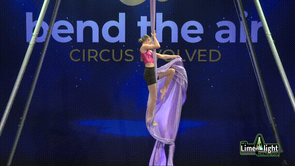 bta-sc-26 Section 3 12 YEARS & UNDER Silks SOLO