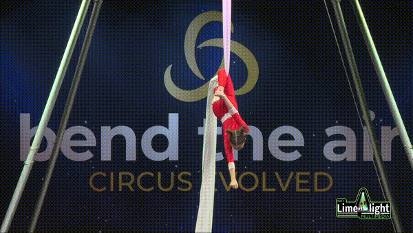 bta-sc-26 Section 3 12 YEARS & UNDER Silks SOLO