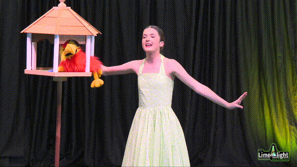 dancers_connect_25 Section 119 13 Years Musical Theatre SOLO