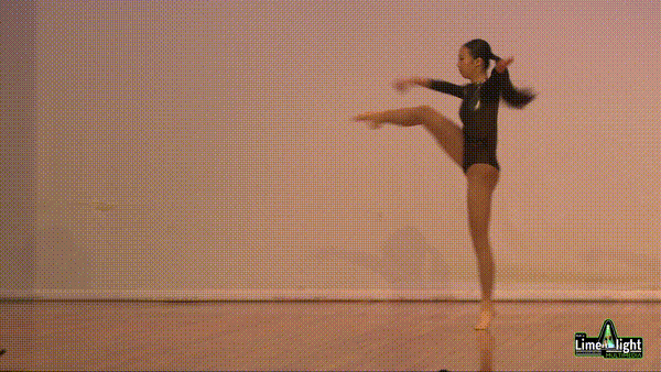lddf_25 Section 106 14 Years Contemporary SOLO