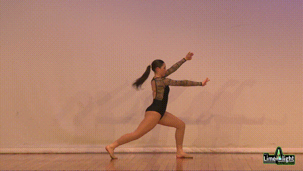 lddf_25 Section 106 14 Years Contemporary SOLO
