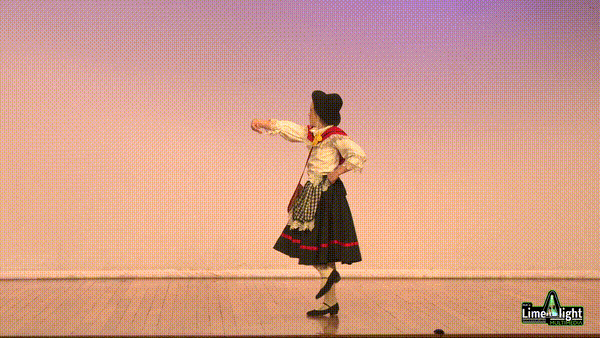 lddf_25 Section 111 11 Years National Character SOLO