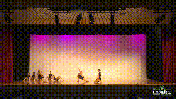 lddf_25 Section 203 10 Years & Under Contemporary GROUP