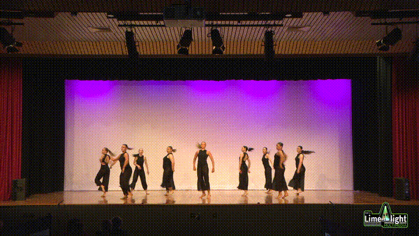 lddf_25 Section 206 15 Years & Over (Open) Contemporary GROUP