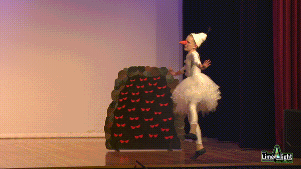 lddf_25 Section 21 11 Years Song and Dance SOLO