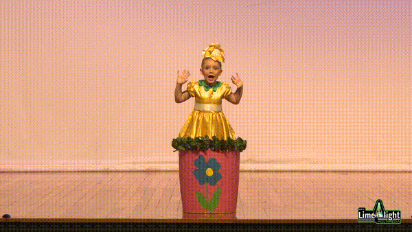lddf_25 Section 26 5 Years & Under Song and Tap SOLO