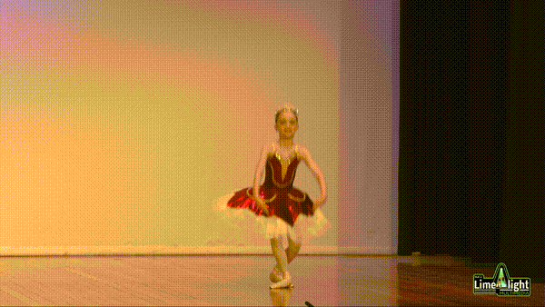 lddf_25 Section 40 8 Years Classical Ballet SOLO