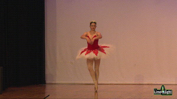 lddf_25 Section 47 15 Years & Over Classical Ballet SOLO
