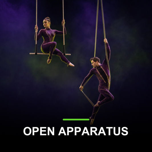 bta adl 26 Section 10 18 YEARS + OPEN APPARATUS SOLO